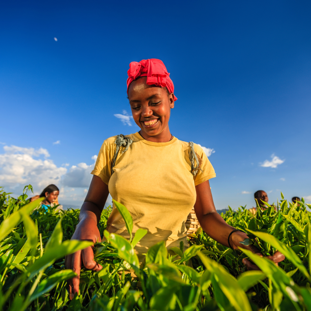 chiedza capital photo bank 2 (1)