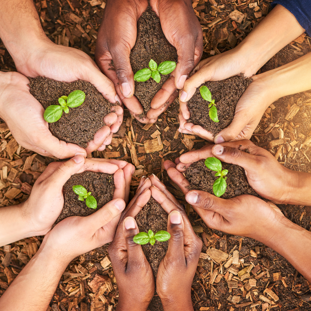 chiedza capital photo bank 2 (17)